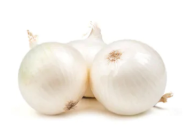 Onion White (Spain)